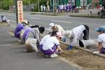 IMG_9260.JPG